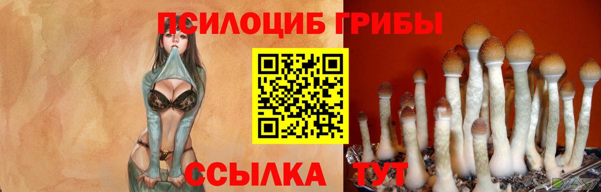 Галлюциногенные грибы MAGIC MUSHROOMS  Вход с VPN  Кыштым 